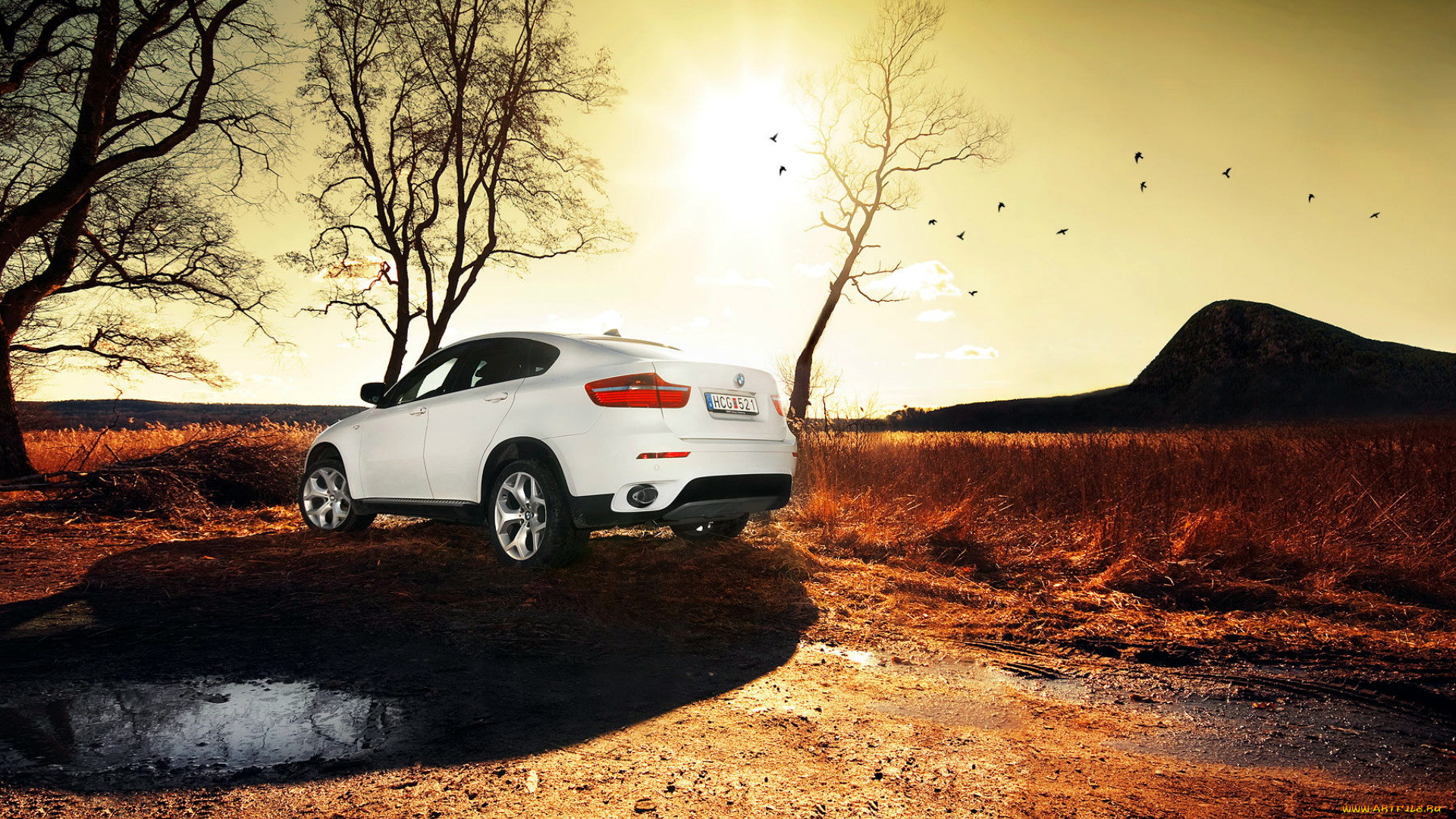 bmw, x6, 